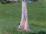 lernen, f�hlen, verstehen